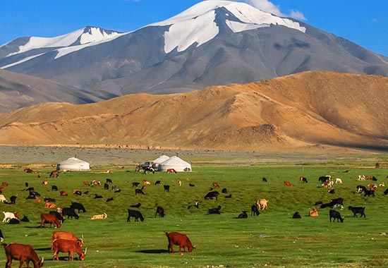 蒙古国