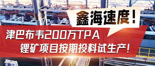 津巴布韦Bikita 200万TPA 锂矿项目3D设计图