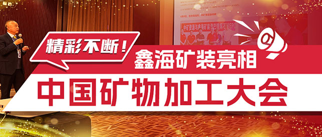 鑫海矿山研究院院长锂矿EPC技术经验
