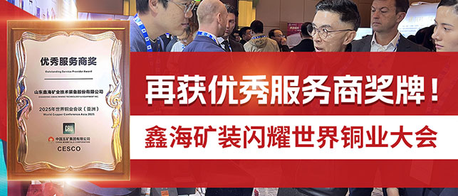 再获优秀服务商奖牌