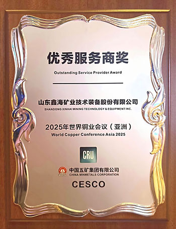 优秀服务商奖牌 优秀服务商奖牌